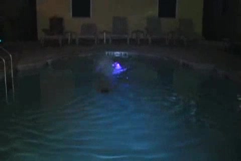 A Little Poolside Action