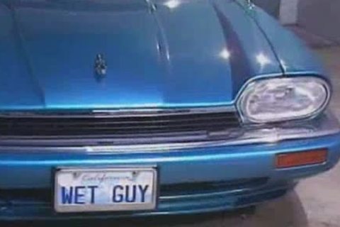 Tom Katt receives poked By Max