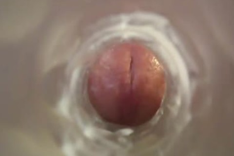 Verbal interior Fleshlight 4 And Caught