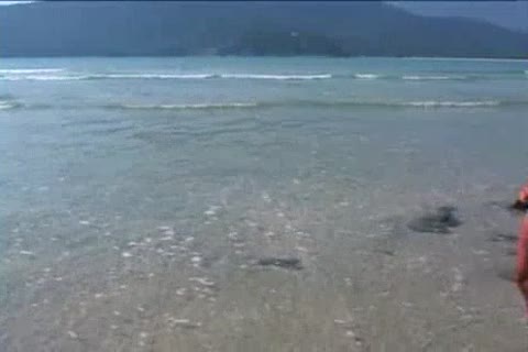 Brazilian twinks On The Beach