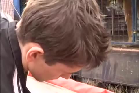 BB twinks & teens / TRASGU XII