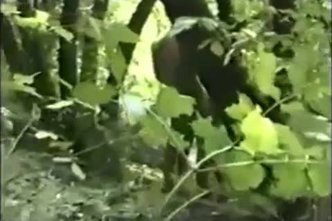 Russian College B-ys fuck outdoors