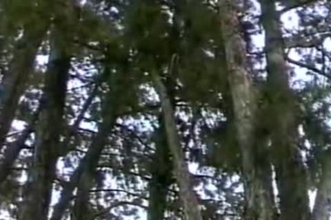 Two guys Have wicked Outdoor Sex