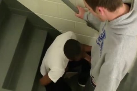 When gigantic 10-Pounder Wiggahs Attack.dark Thug