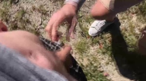 studs In Public 5 – Hike - anal sex