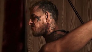 Wall Stuffed - Trent King, Bo Sinn American hammer