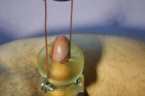 Milking cum Machine 05