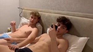 fresh shlong couple In oral-job Action