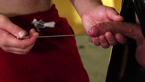 Metal Rods in Urethra - Ouch!