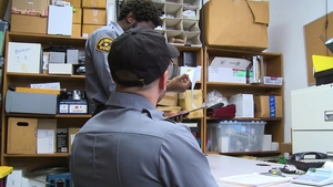 Young Perps: 30 Year Old's Office Misconduct